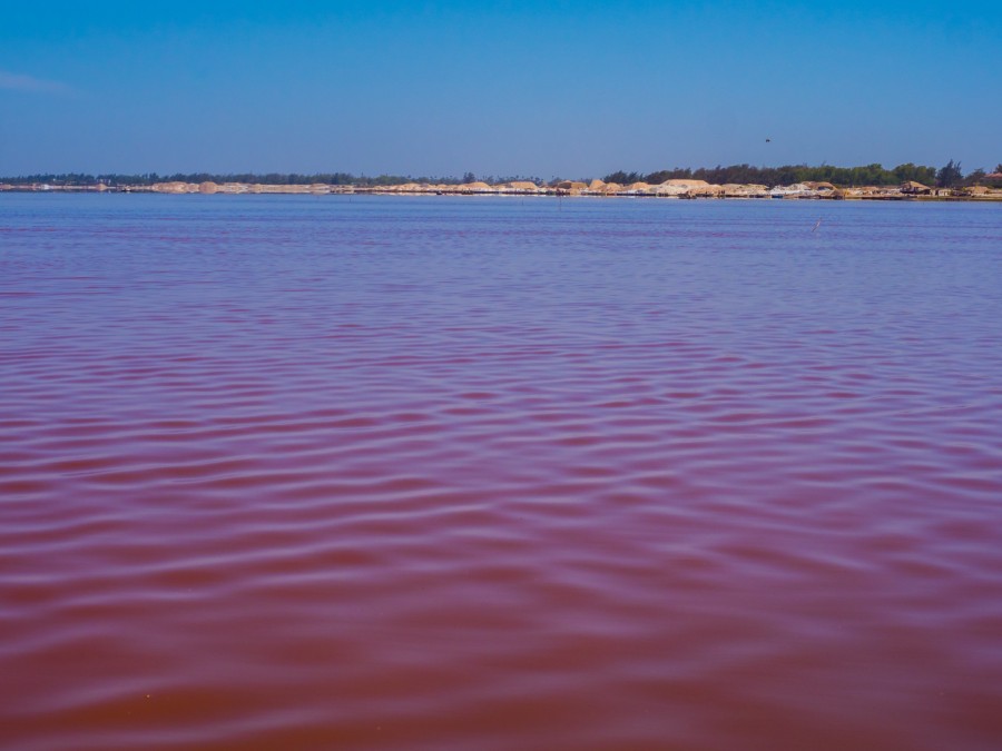 Le lac Rose au Sénégal : une merveille naturelle à découvrir