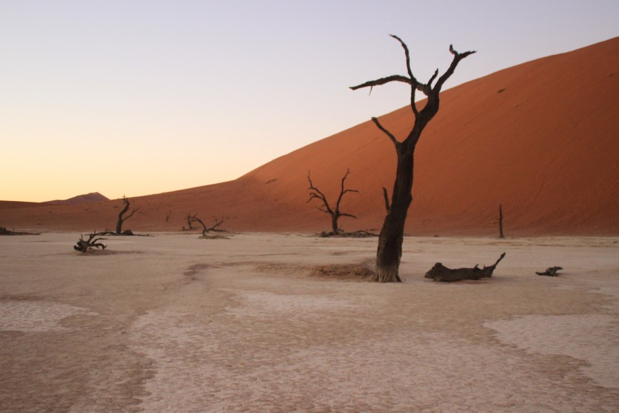 Quel est le nom du désert de Namibie ?